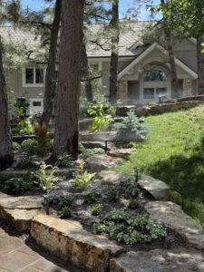 Castle Pines clever irrigation castle rock co Irrigation Company in Castle Rock – Why Homeowners Trust Clever Irrigation LLC