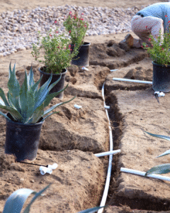 PVC irrigation lines being laid in a trench