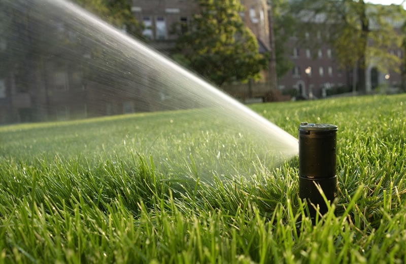 Sprinkler installations within Castle Rock, CO