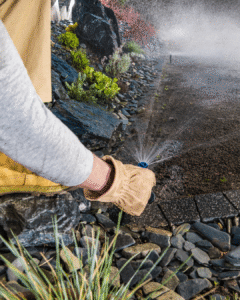 Technician testing sprinkler head water coverage during sprinkler system activation in Castle Rock, Colorado