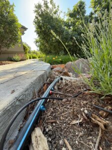 Sprinkler drip line repair in Castle Rock and surrounding areas
