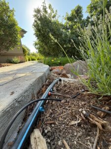 Sprinkler drip line repair in Castle Rock