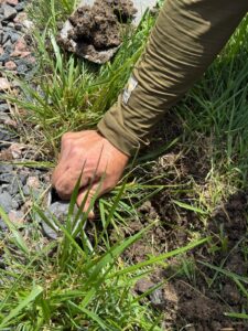Local Castle Rock irrigation contractor servicing residential sprinkler systems