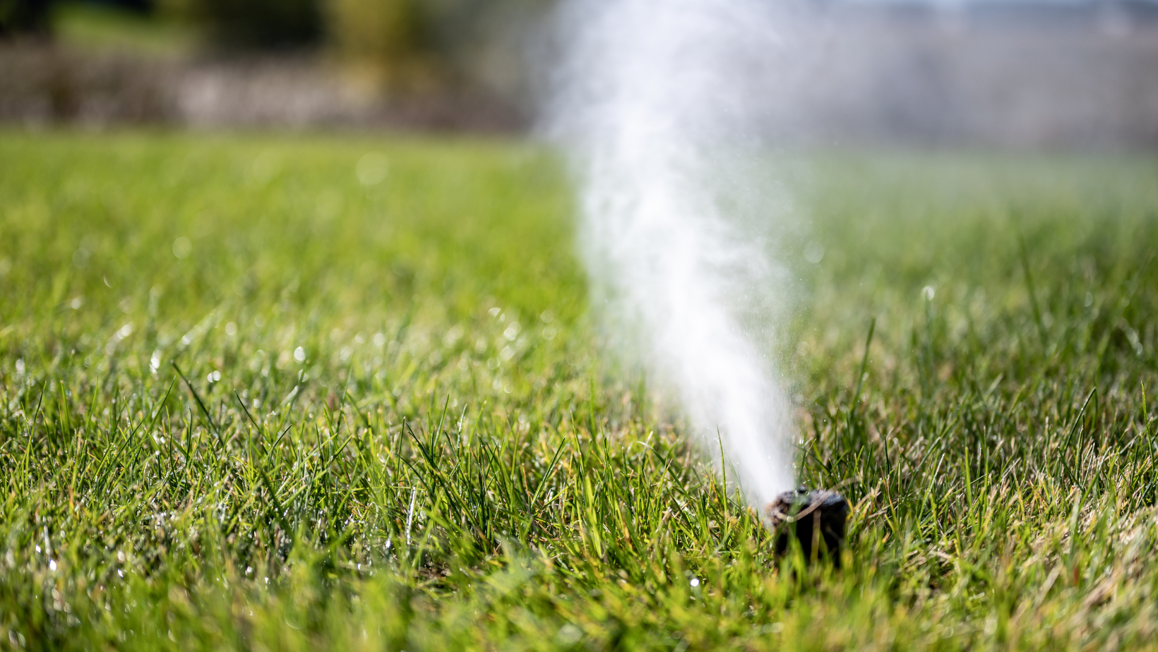 Professional sprinkler blowout and winterization service protecting irrigation lines in Castle Rock Colorado