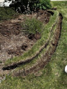 New irrigation system installation with trenching and sprinkler placement in Castle Rock Colorado